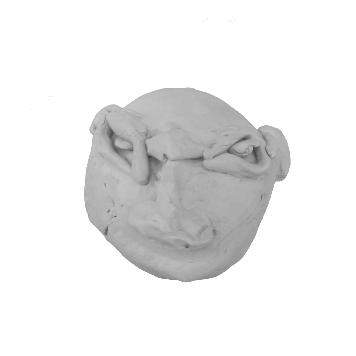 Image principale de la galerie