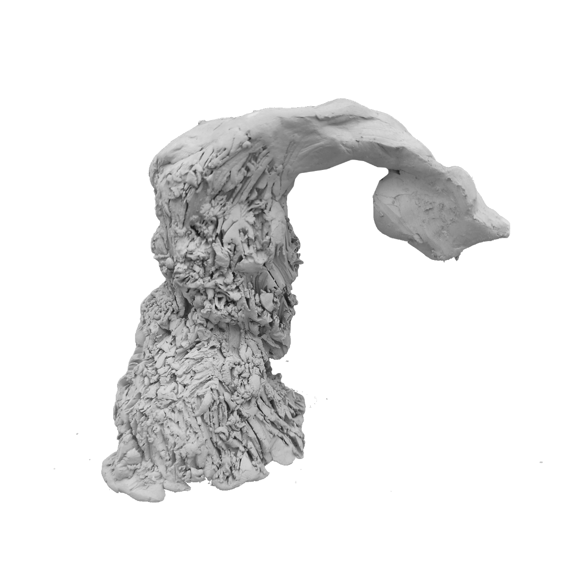 Image principale de la galerie