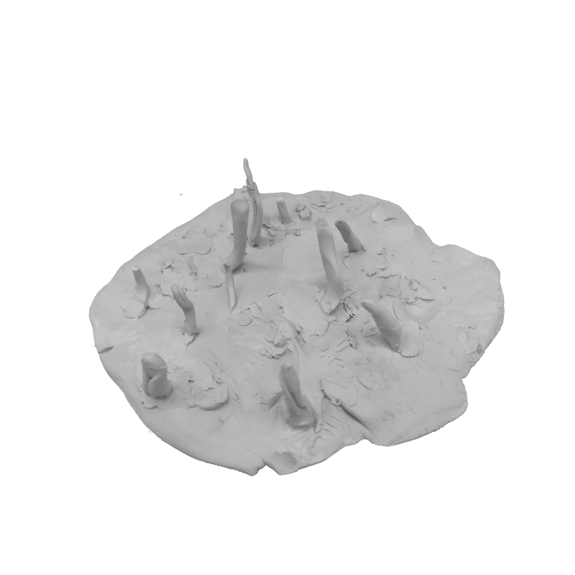 Image principale de la galerie