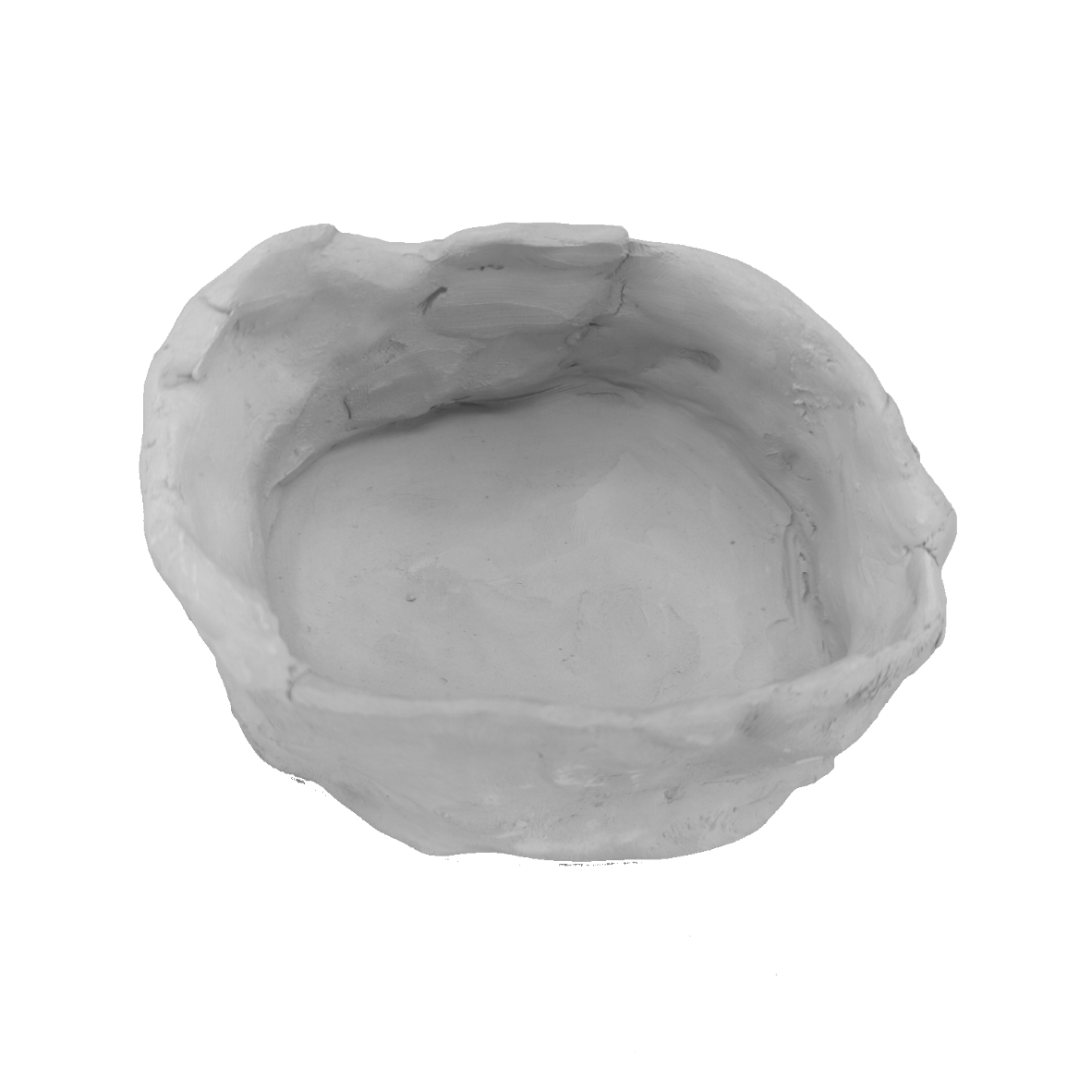 Image principale de la galerie